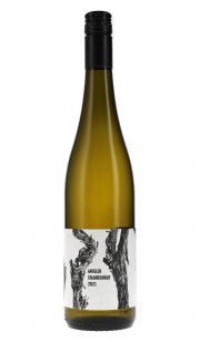 Chardonnay 2023 - Weingut M. Schädler -Steffen Mugler